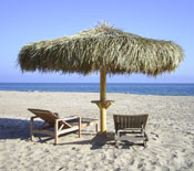 Single Pole Palm Palapa