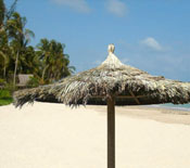 Single Pole tahiti Palapa