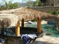 Custom Palm Palapa